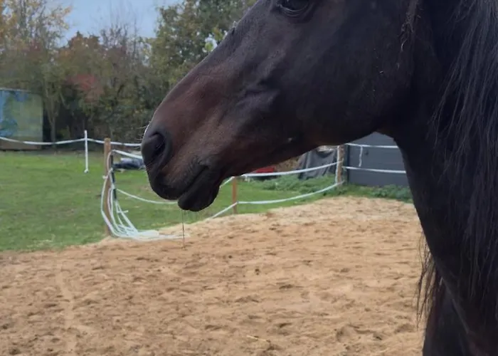 Monteurzimmer Bauernhof Eh J * Zulpich